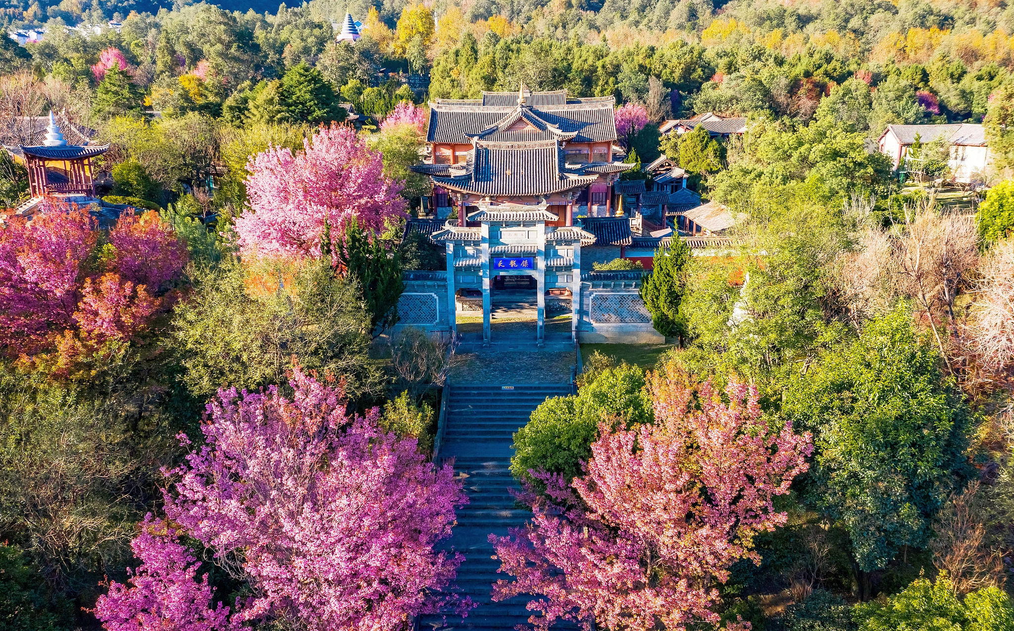 蒼山
