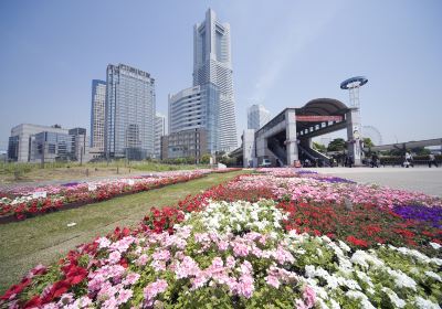 sakuragi-cho