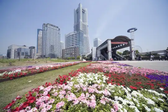 사쿠라기초 주변 호텔