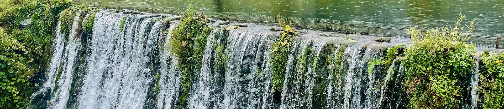 Blumenschau Attraktionen