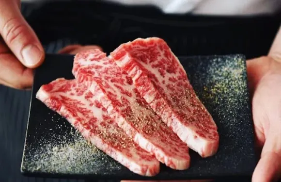 琉球的牛
