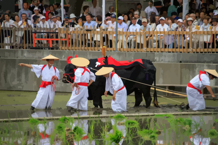 住吉大社稻穗祭 | 大阪