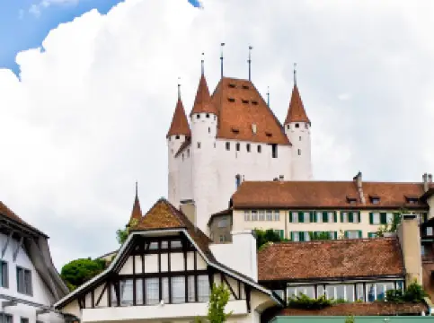 Thun Castle