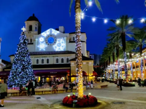 棕櫚灘縣的熱門夜間人氣景點