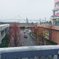 疫情下的日本關東