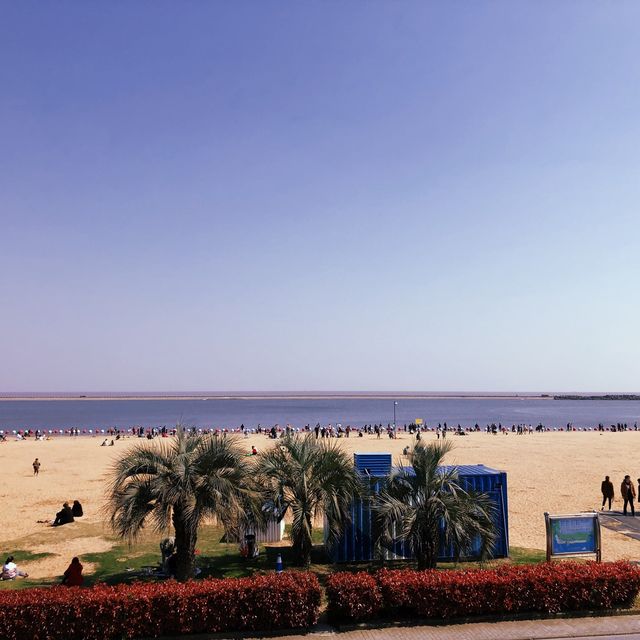 LET’S GO TO JINSHAN CITY BEACH 🏖 : SHANGHAI 