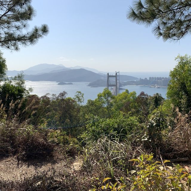 山頂上的超靚景觀 好像飛上天空一般的樹上千秋