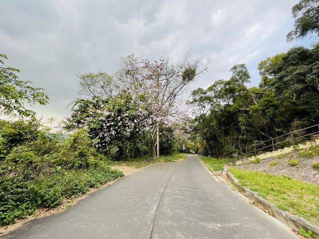 親子行山郊遊路線，天空之鏡輕井澤流水響