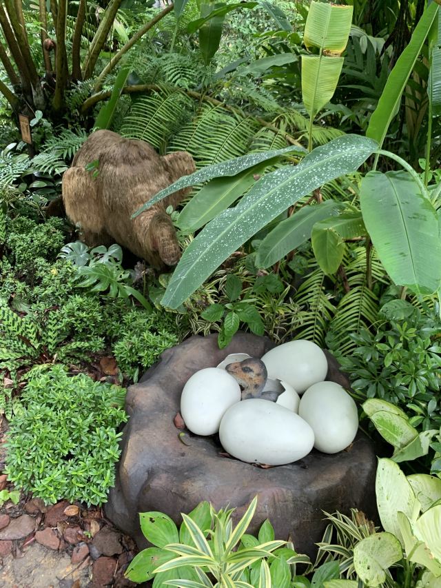 Singapore Zoo