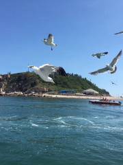 釣魚島海豹礁