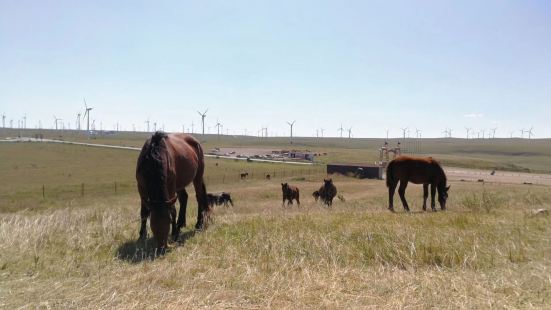 烏蘭察布，有效風場面積達6828平方公里，占內蒙古自治區的三