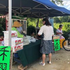 罗浮山家和园农庄 User Photo