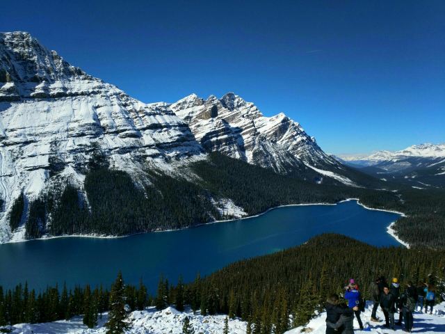 Peyto Lake