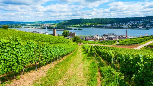 Rudesheim