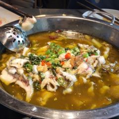 Huopenjingmala Fish (chengdonglu) User Photo