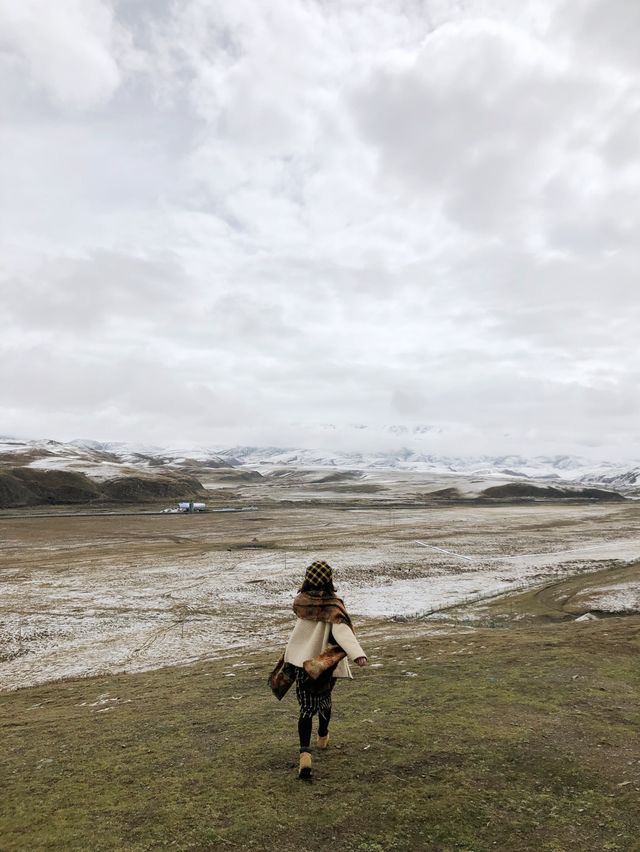 塔公寺×塔公草原 | 夢幻中的雪山草地