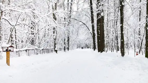 銭函+小樽運河+船見坂+天狗山一日遊【精緻小團】