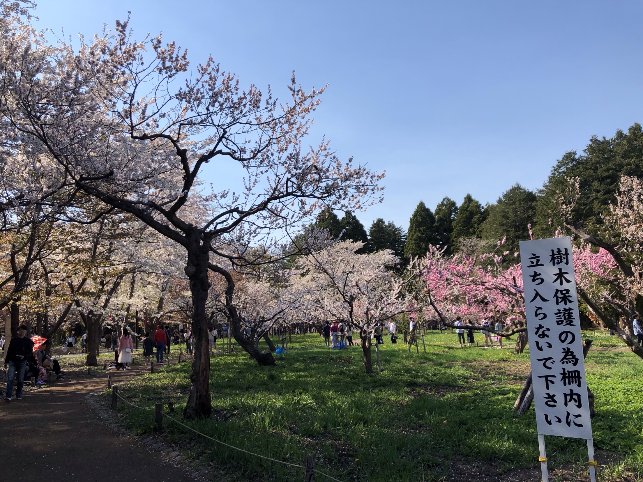 圓山公園旅遊攻略指南 圓山公園評論 圓山公園附近推薦 Trip Com 圓山公園旅遊攻略指南 圓山公園評論 圓山公園附近推薦 Trip Com