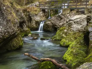 Vintgar-Klamm (Soteska Vintgar)