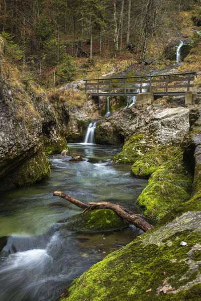 Vintgar-Klamm (Soteska Vintgar)