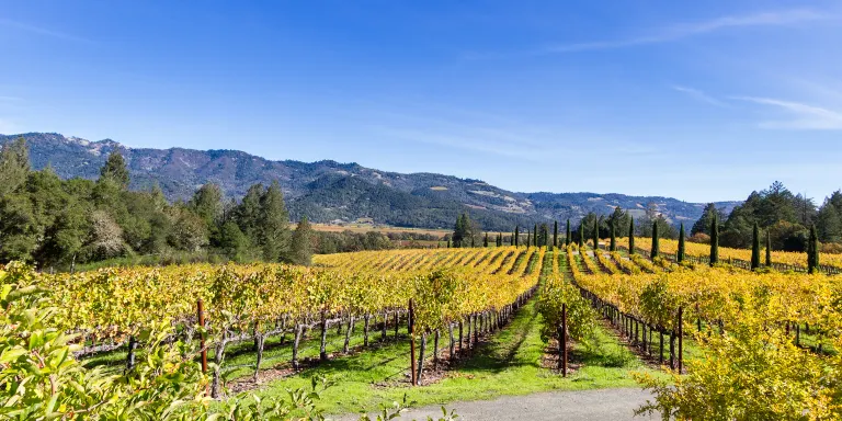 Номер с видом на горы Отели в г. Джошуа Три