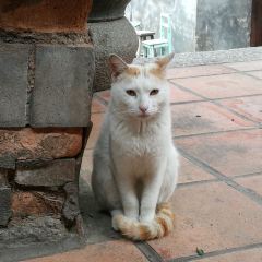 Lao Hai Wu User Photo