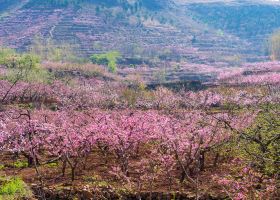 Best time to book flights from Moscow to Simferopol