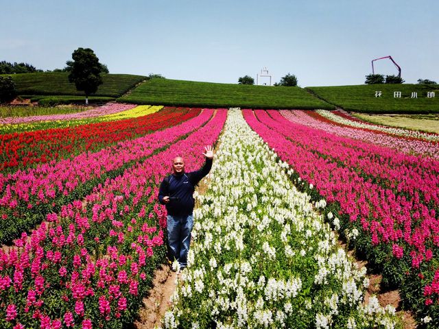 The Flower Town (Huatian Town) in Wuyi