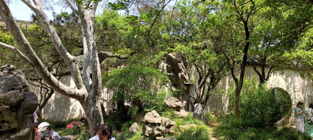 Lingering Garden