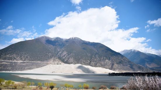 西藏林芝 佛掌沙丘。位于雅鲁藏布江北岸，近雅鲁藏布大峡谷的佛