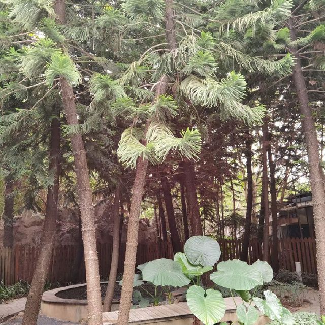 Nanning Hot Spring Oasis Day Trip
