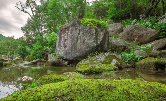 南山陳姐度假別墅（富霞路分店）