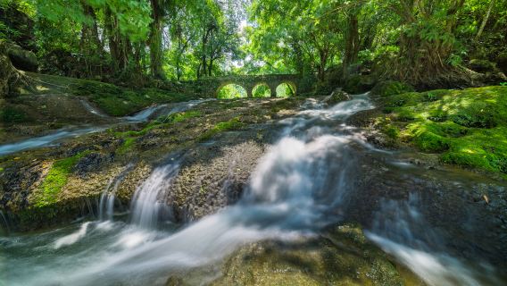 Erlang Waterfall