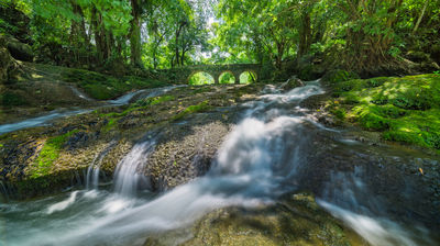 Erlang Waterfall