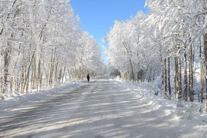 小妥餐饮醉美羊村饭庄(库尔德宁镇店)