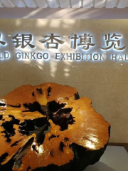 Pizhou Ginkgo Exhibition Hall