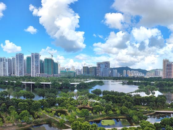 Dong'an Wetland Park