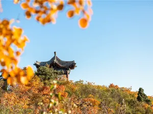 룽산 풍경관