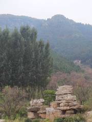 Yuntaishan Forest Park