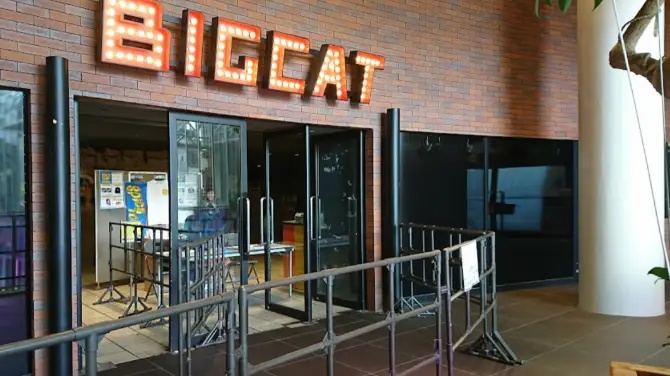 Big Cat