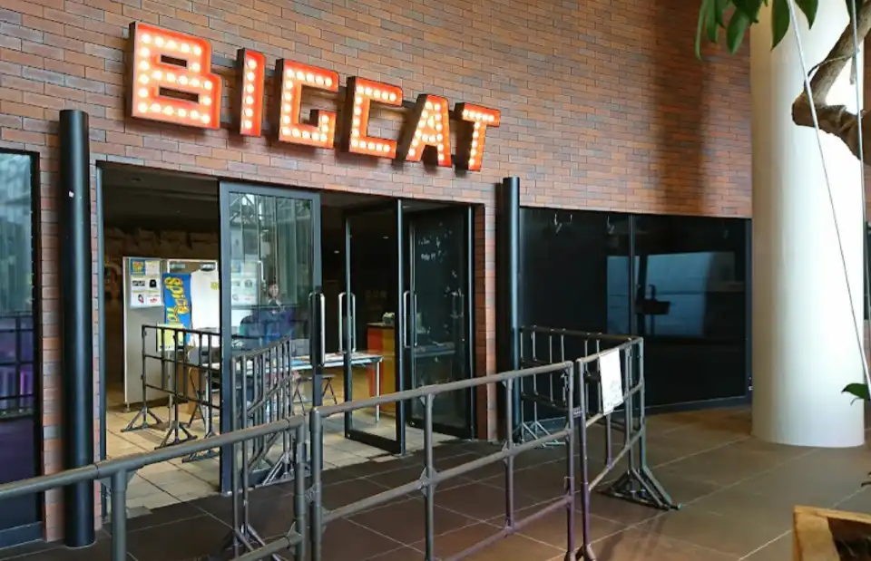 Big Cat