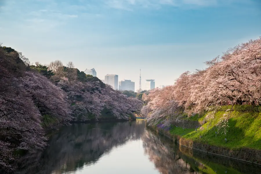 Chidorigafuchi