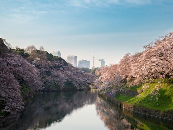 Chidorigafuchi