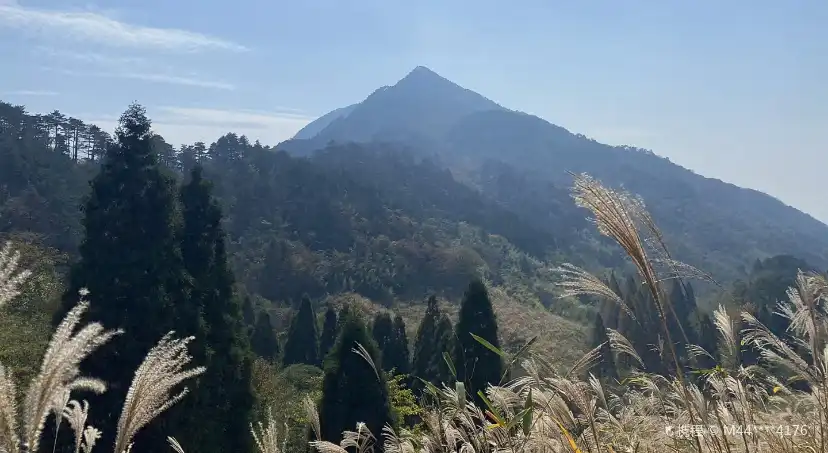 한양봉 주변 호텔