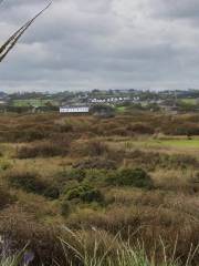 Heysham Nature Reserve