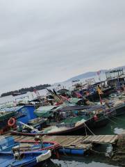 Fish Harbor of Typhoon Shelter