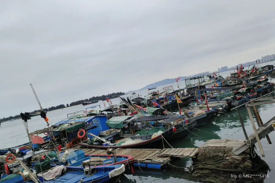 Fish Harbor of Typhoon Shelter