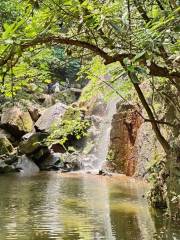 Silver Bells Pond