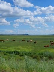 Xilin Gol Grassland