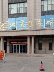 Zhucheng Library